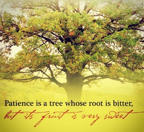 The Fruit of Patience