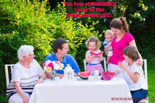 theoverflow-67340269-P